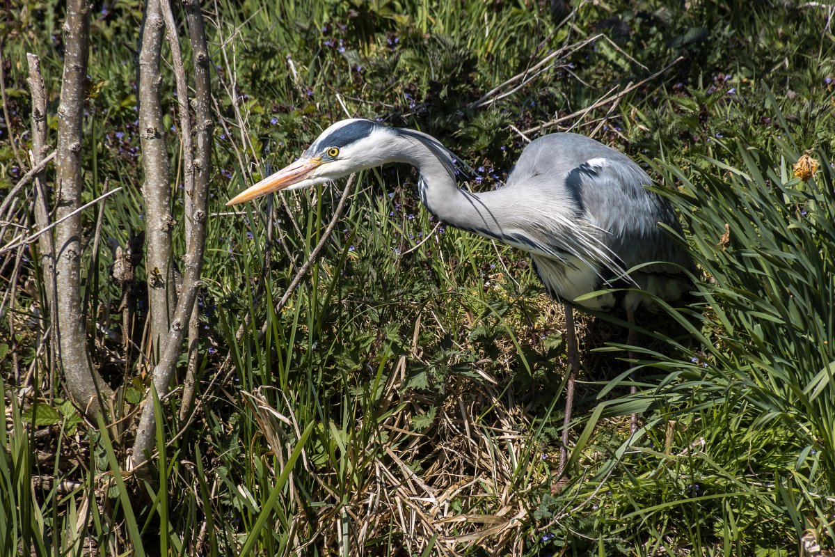 foto: [20210423PV3718]